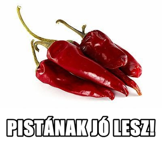 Illustration for article titled A Tumblr válasza a HÖK-ösök listázására: Pistának jó lesz
